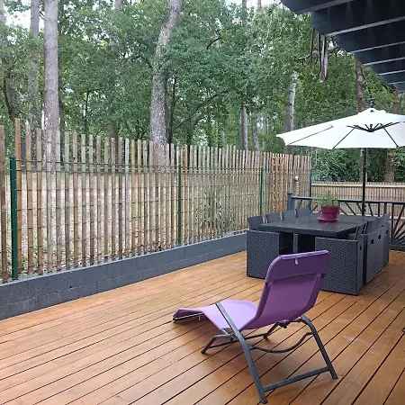 Alpesi faház Nouveau Piscine Bassin D Arcachon Khelus Menage Draps Inclus *